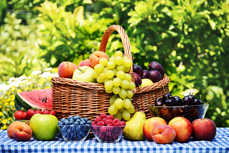 Laboratorní vyšetření pro vegany a vegetariány. Které testy jsou důležité?