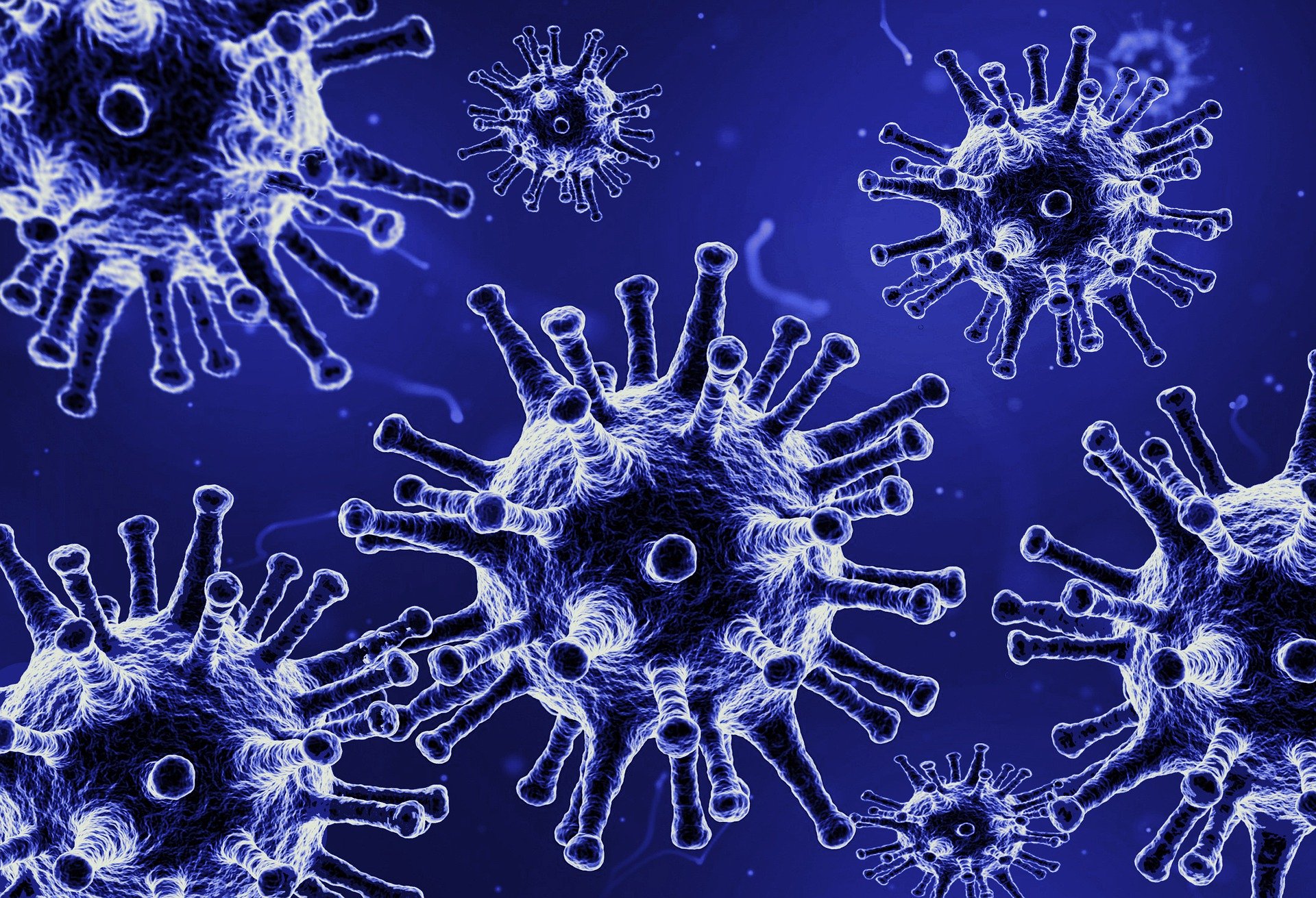 Will we ever see a universal anti-coronavirus vaccine?