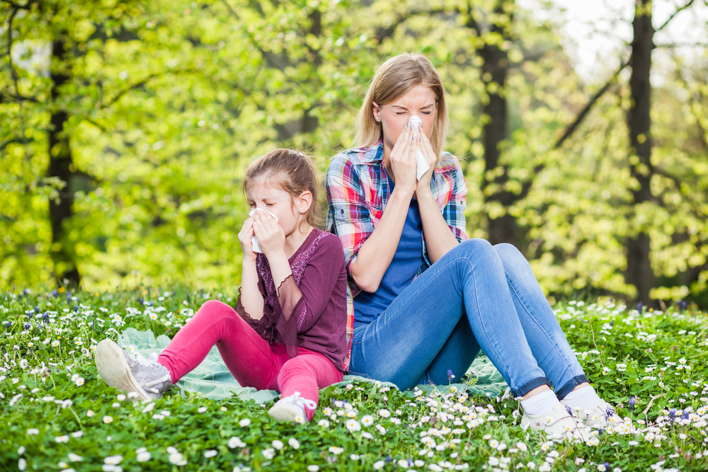 Alergie – typy, příčiny, příznaky a léčba